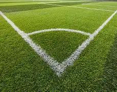 日晚间新闻,速览,米兰体育,米兰体育官网,MILAN,Sports,足球直播,篮球赛事,体育高清,NBA直播