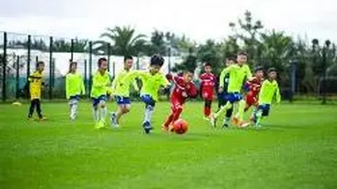 米兰体育 产品 101724 z7o