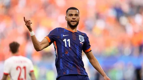 米兰体育 产品 091309 bn6